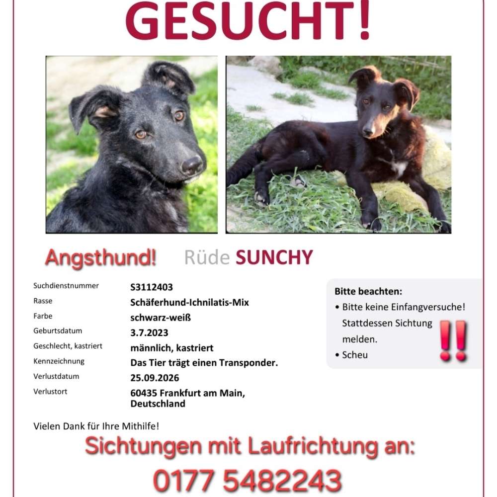 Suchmeldung-Sunchy-Profilbild