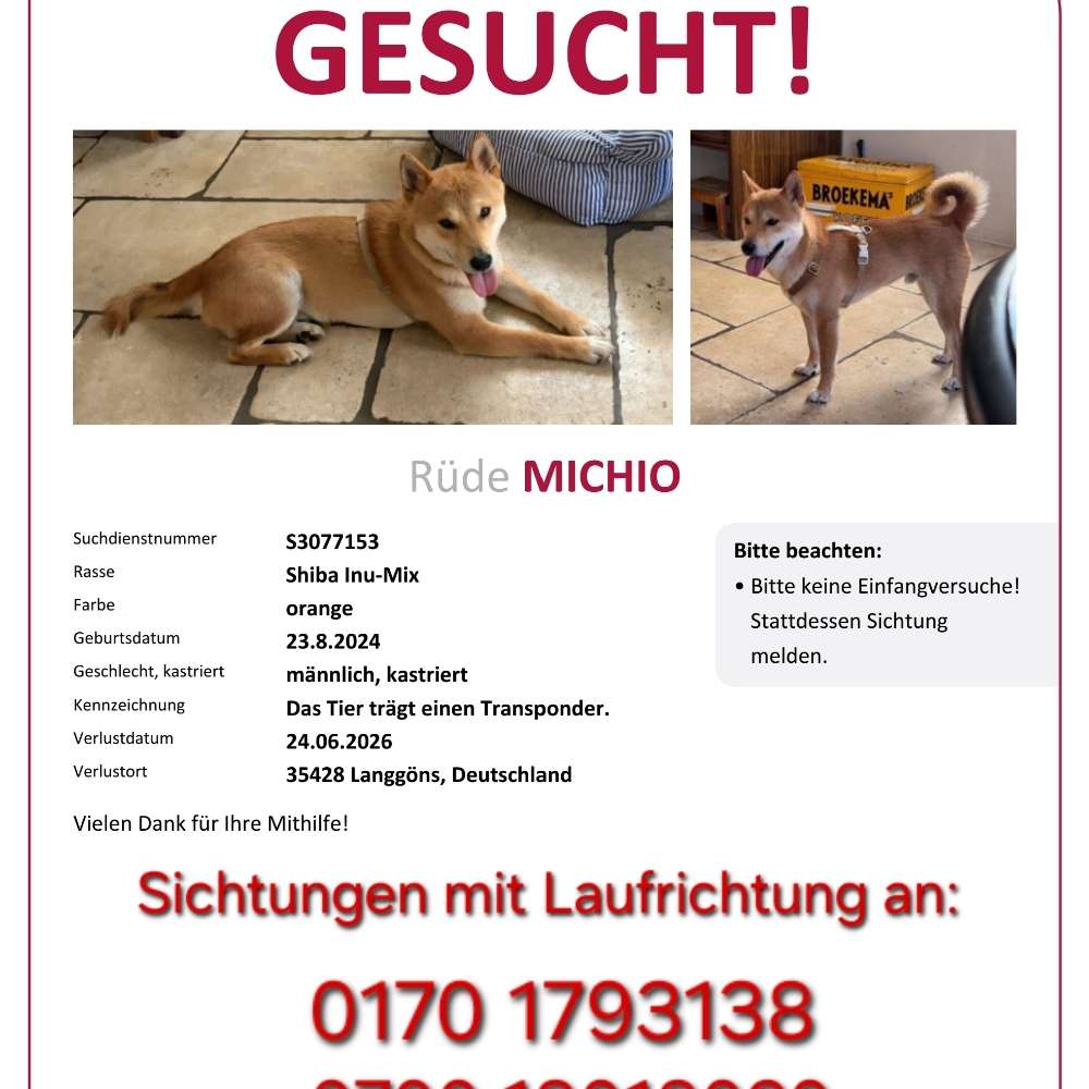 Suchmeldung-Michio-Profilbild