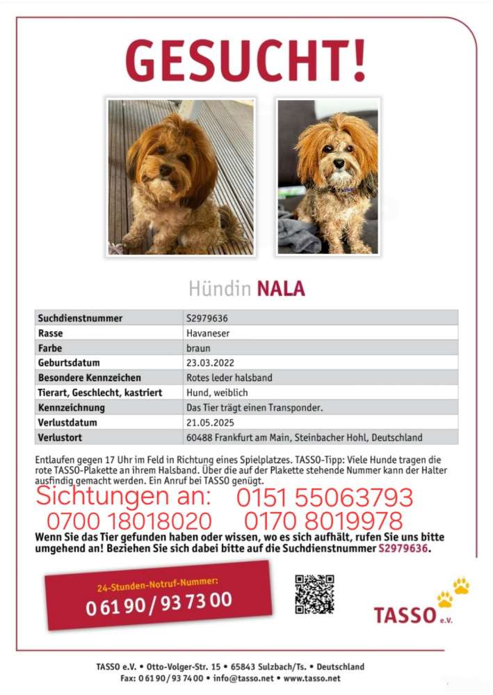 Suchmeldung-Nala-Profilbild