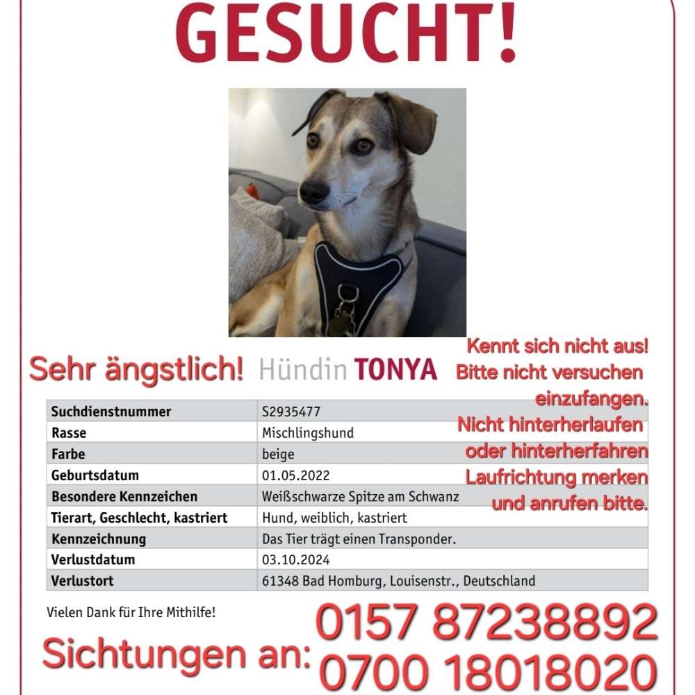 Suchmeldung-Tonya-Profilbild