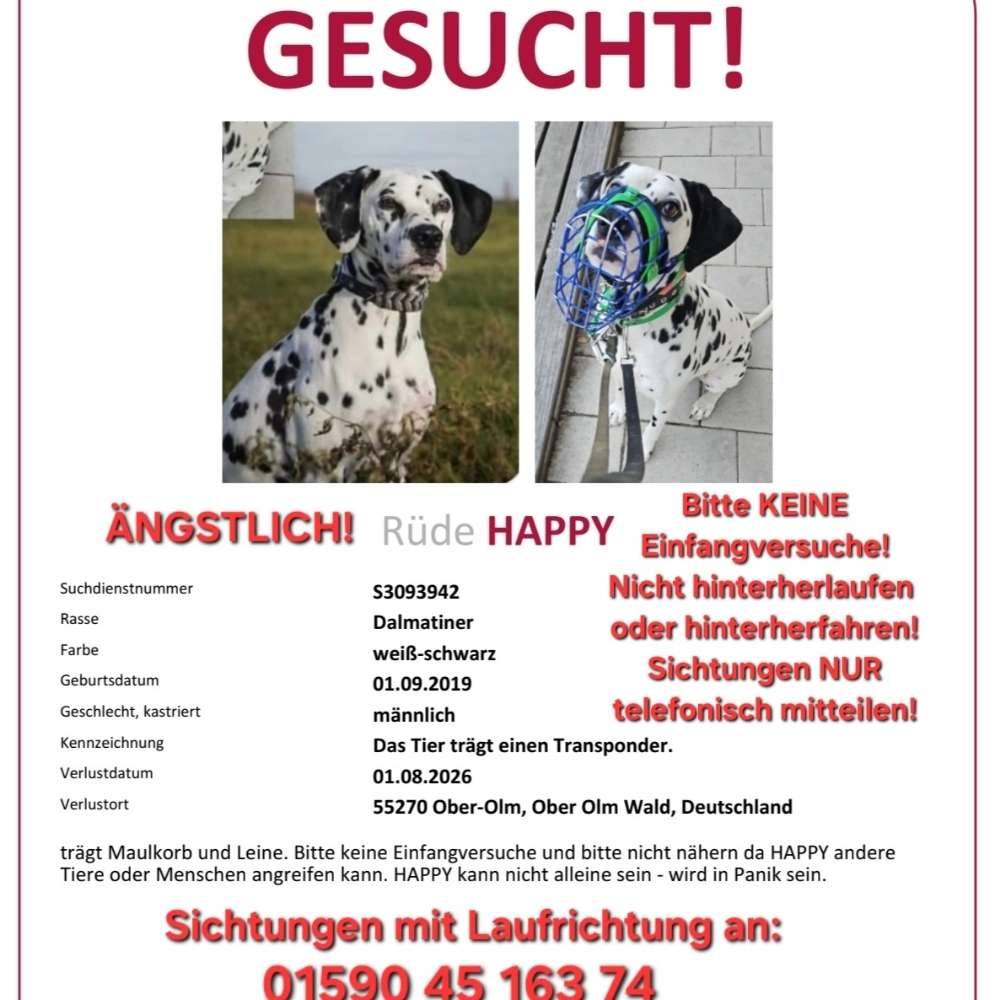 Suchmeldung-Happy-Profilbild