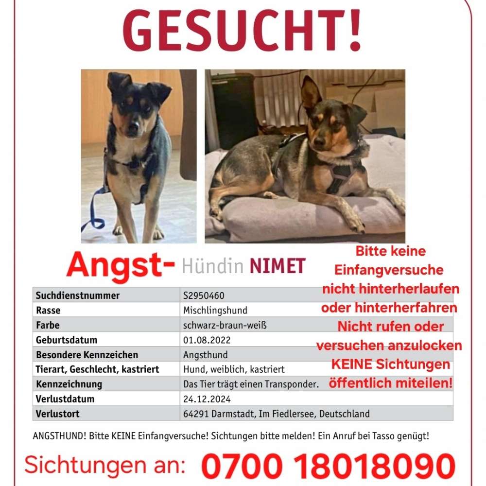 Suchmeldung-Nimet-Profilbild