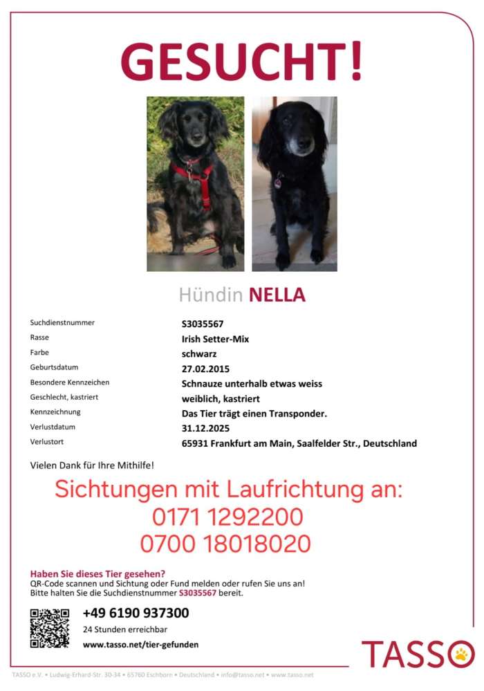 Suchmeldung-Nella-Profilbild