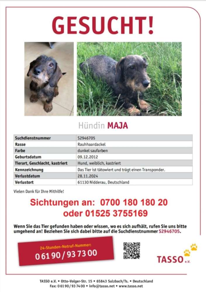 Suchmeldung-Maja-Profilbild