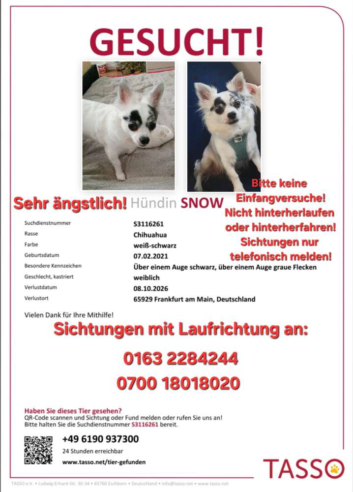 Suchmeldung-Snow-Profilbild