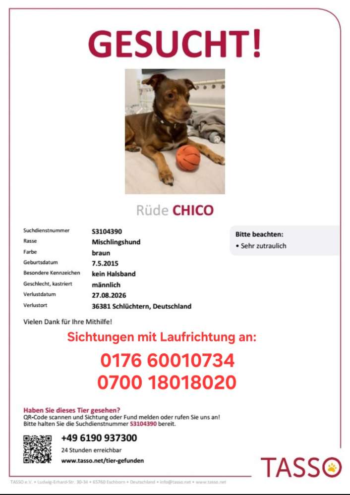 Suchmeldung-Chico-Profilbild