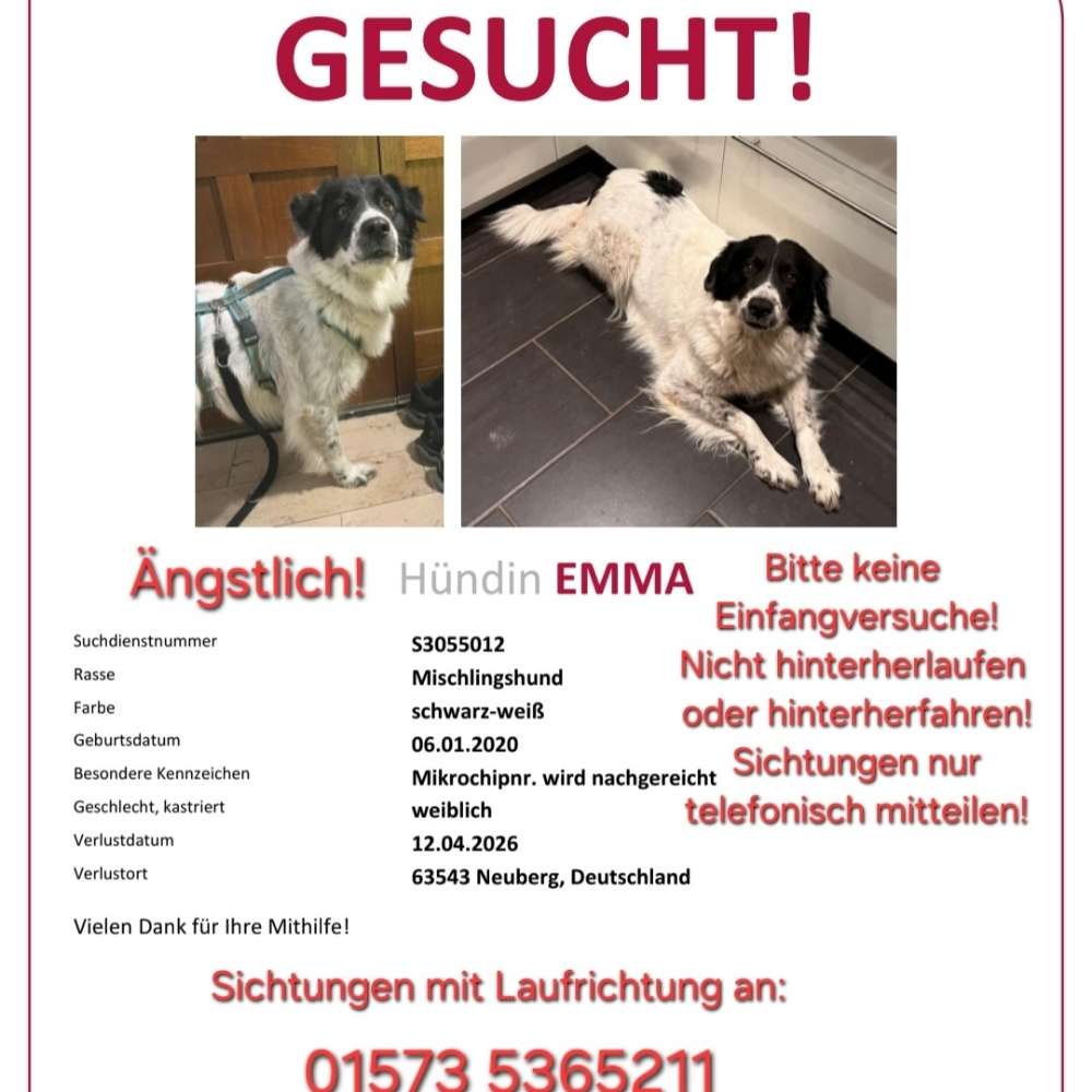 Suchmeldung-Emma-Profilbild