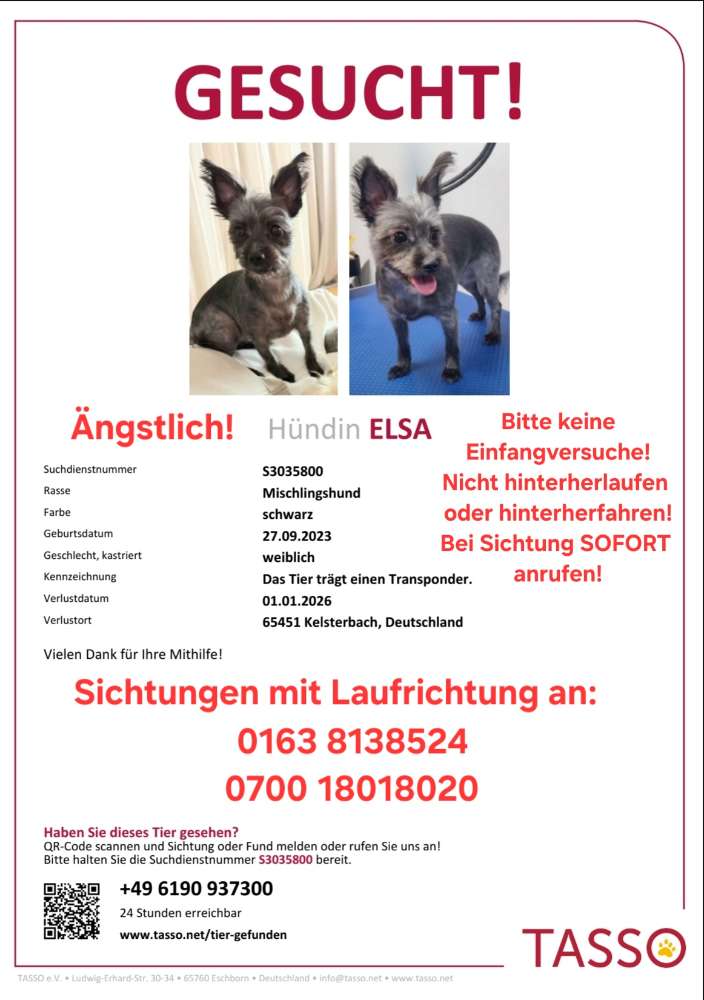 Suchmeldung-Elsa-Profilbild