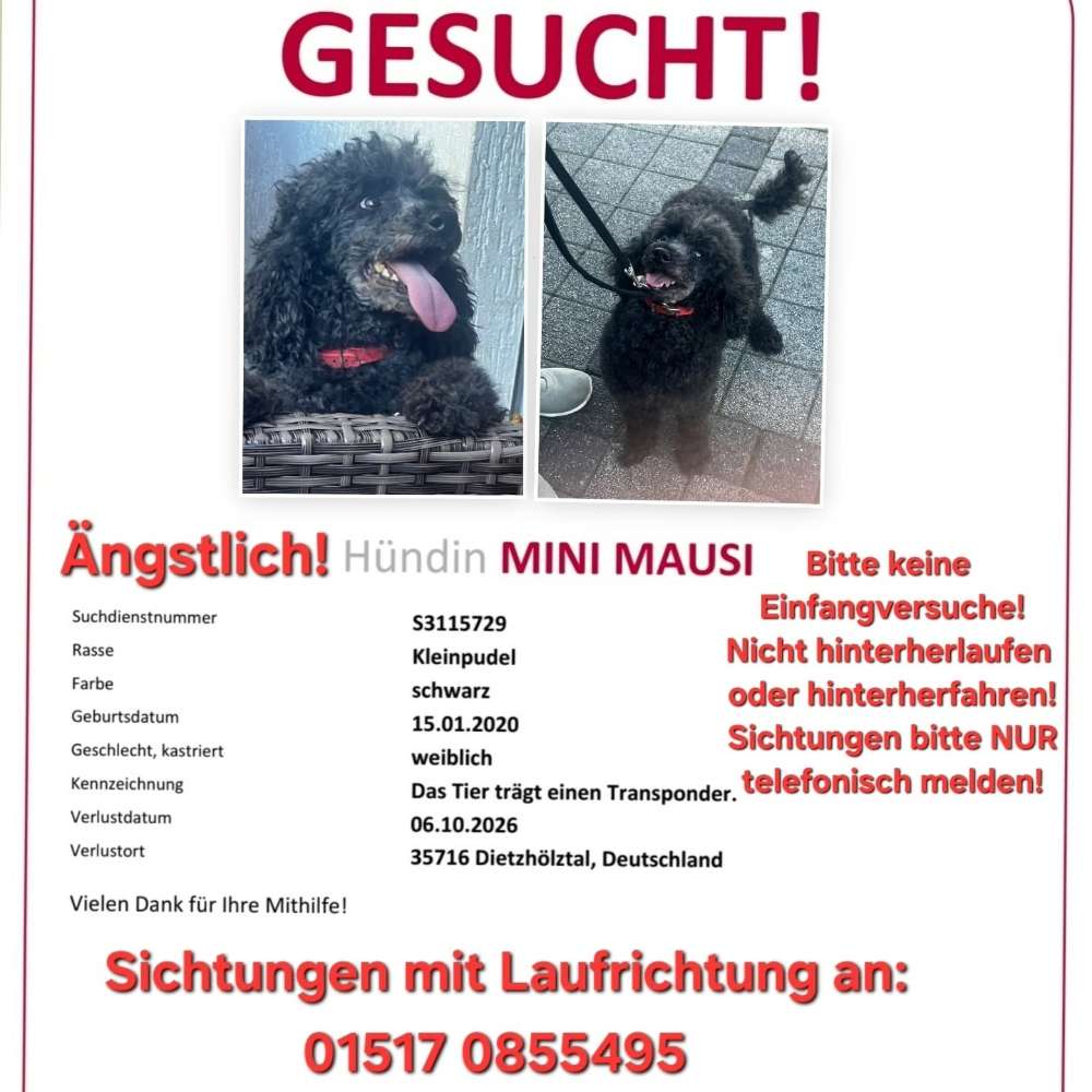 Suchmeldung-Mini Mausi-Profilbild