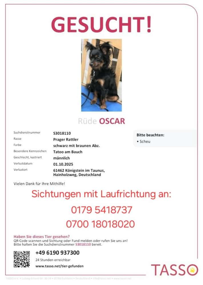 Suchmeldung-Oscar-Profilbild