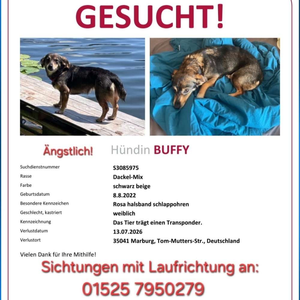 Suchmeldung-Buffy-Profilbild