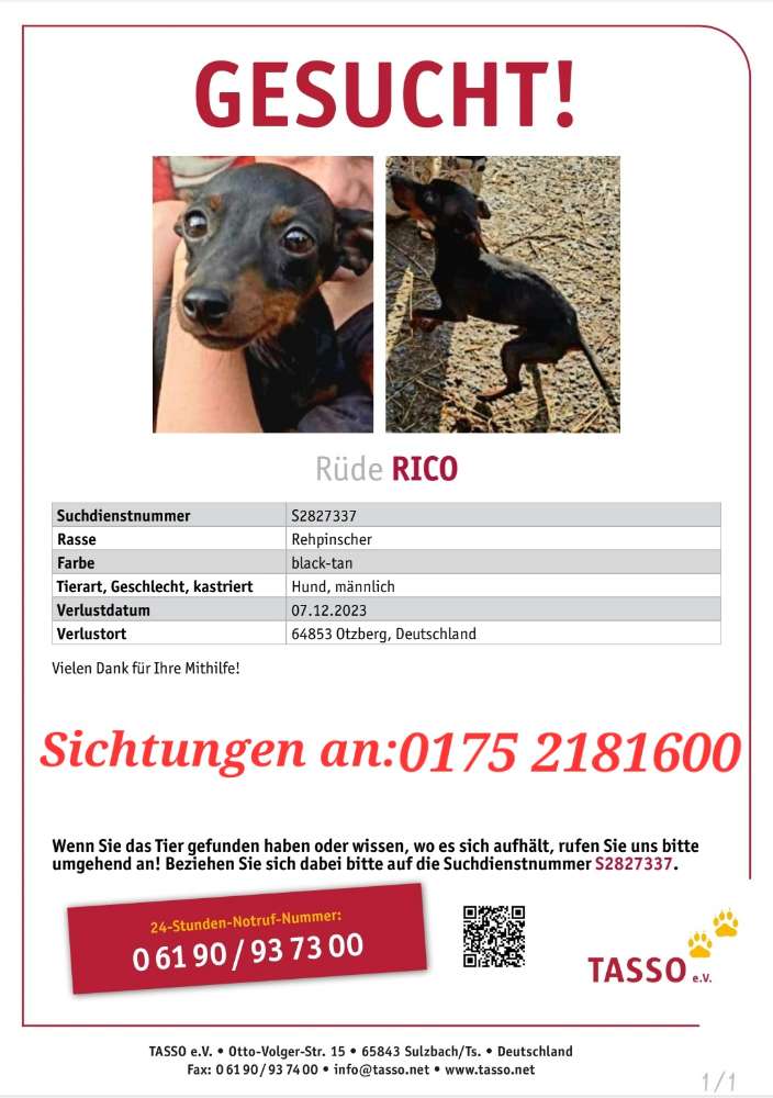 Suchmeldung-Rico-Profilbild