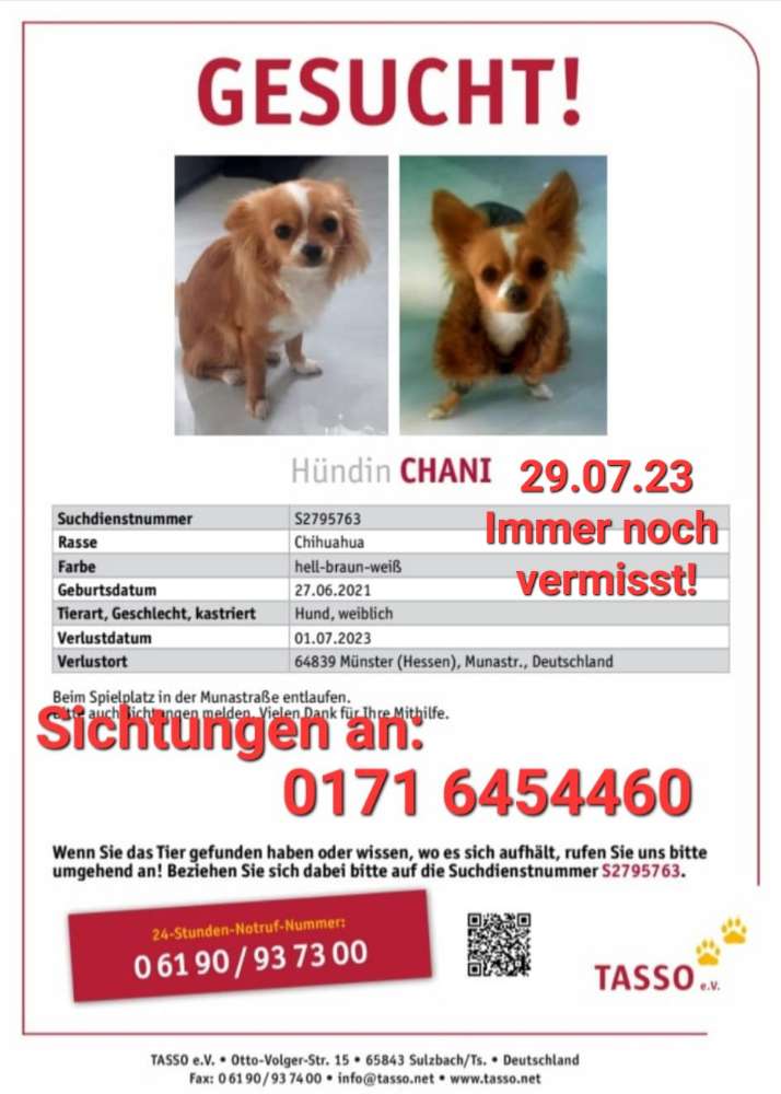 Suchmeldung-Chani-Profilbild