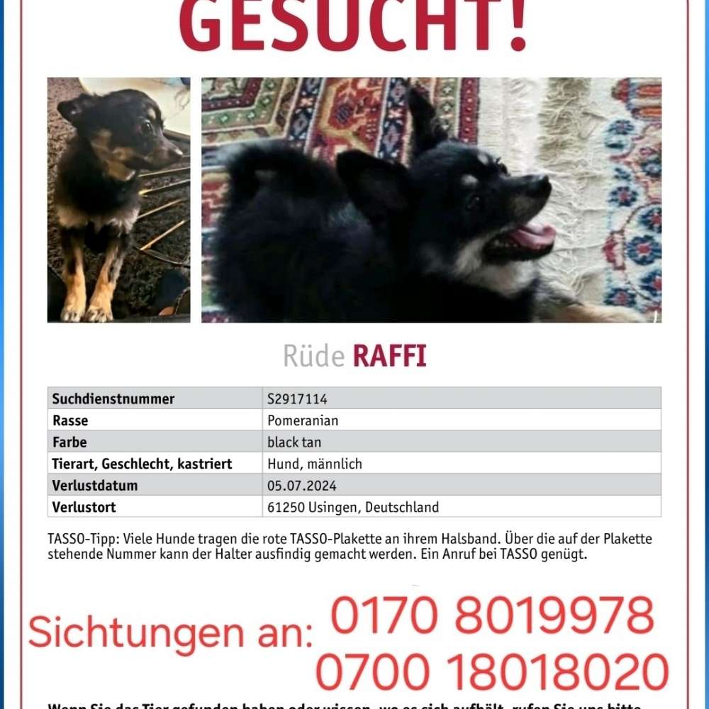 Suchmeldung-Raffi-Profilbild