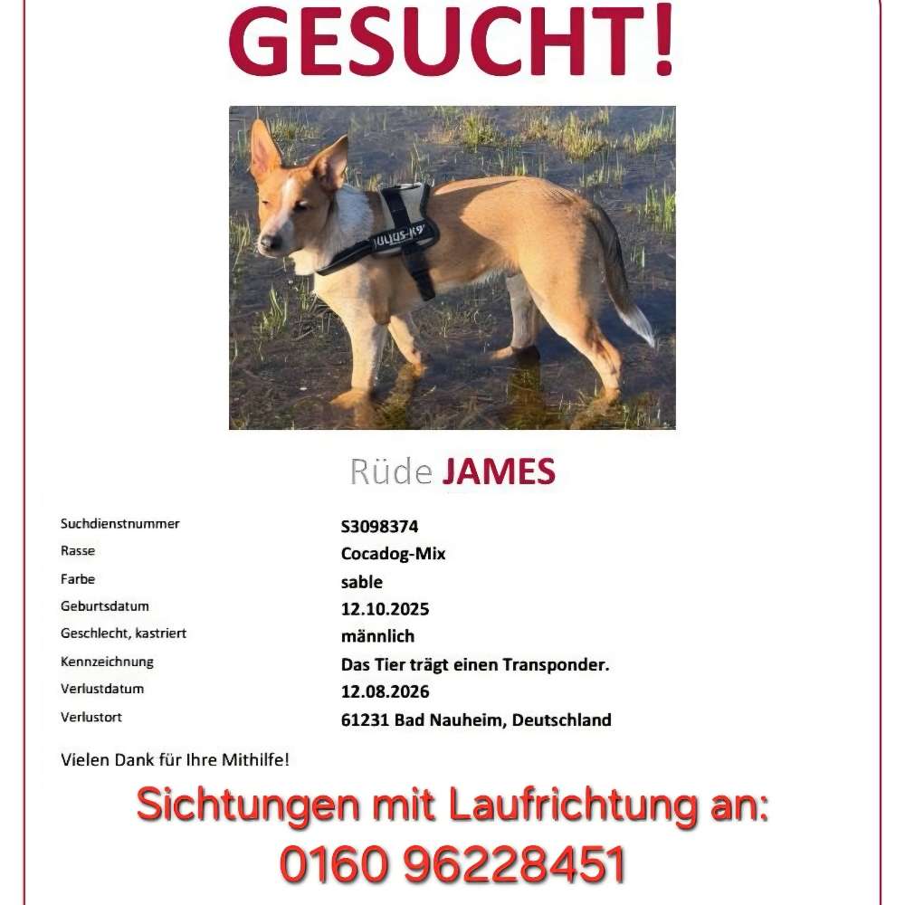 Suchmeldung-James-Profilbild