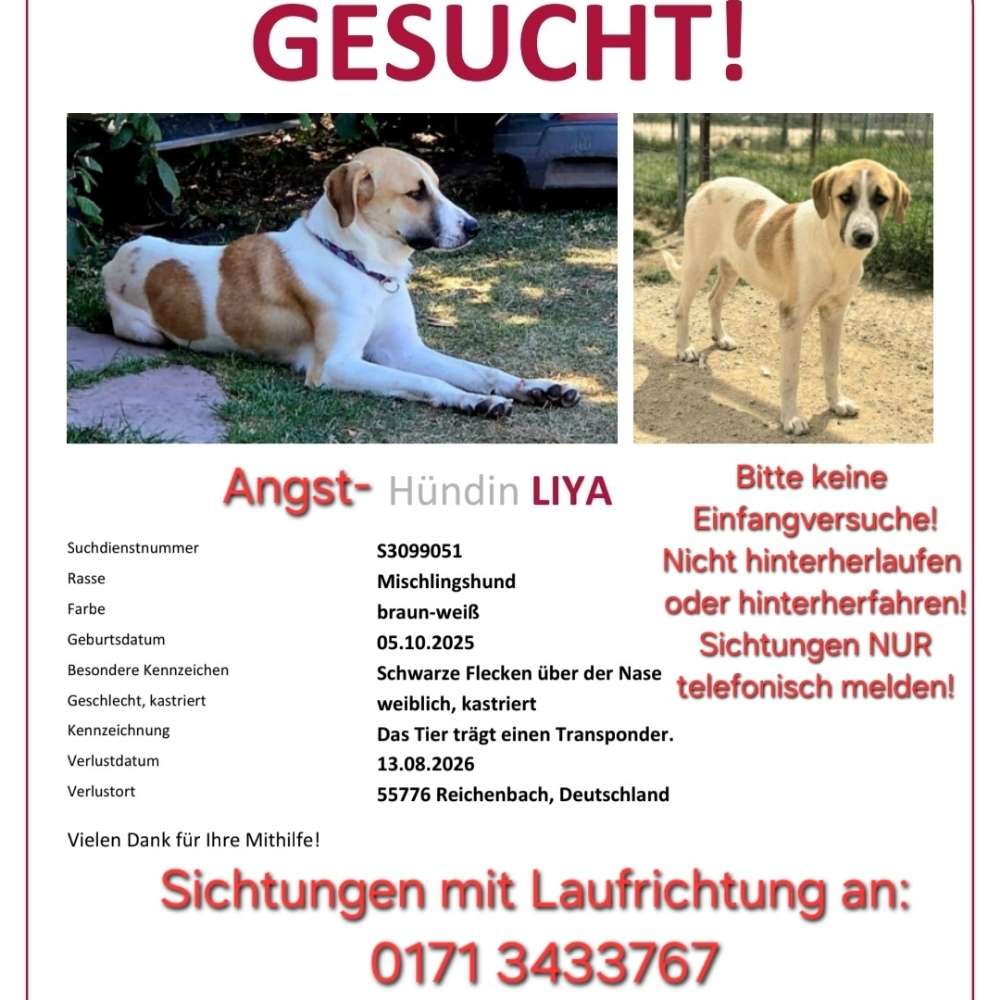 Suchmeldung-Liya-Profilbild