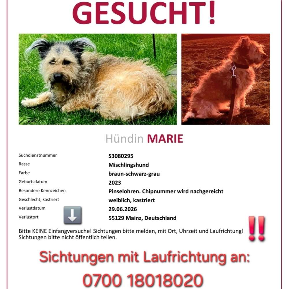 Suchmeldung-Marie-Profilbild