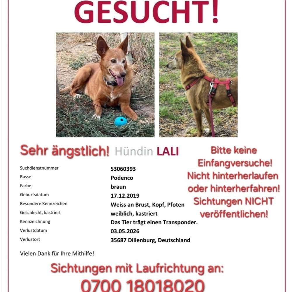 Suchmeldung-Lali-Profilbild