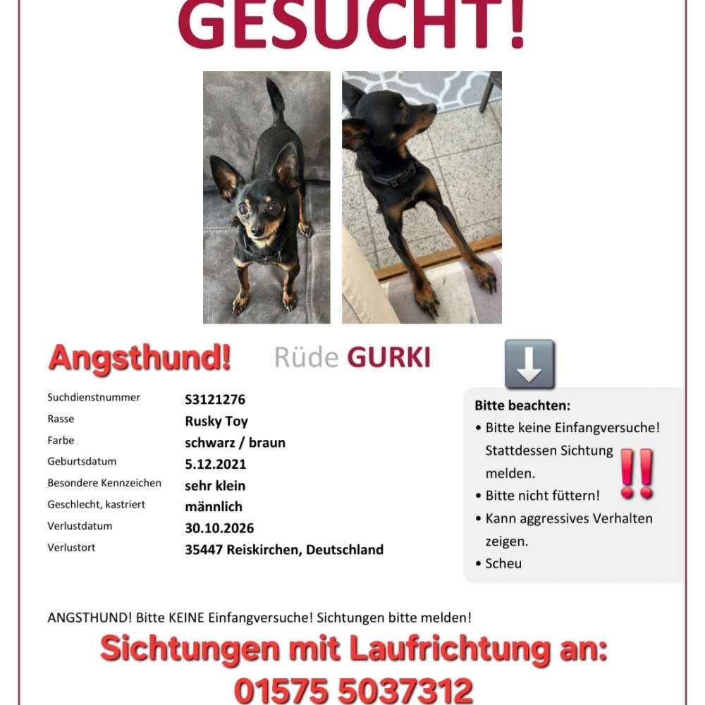 Suchmeldung-Gurki-Profilbild