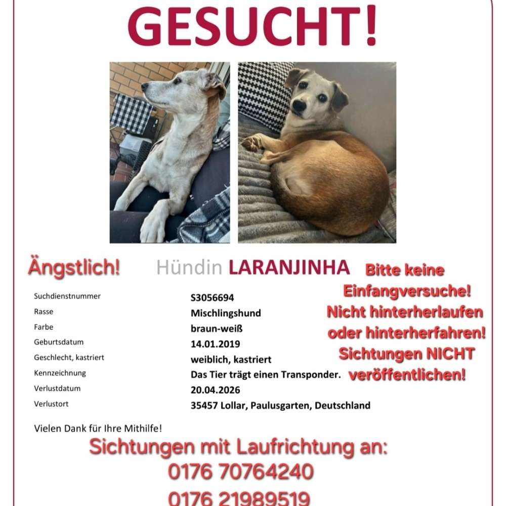 Suchmeldung-Lara-Profilbild