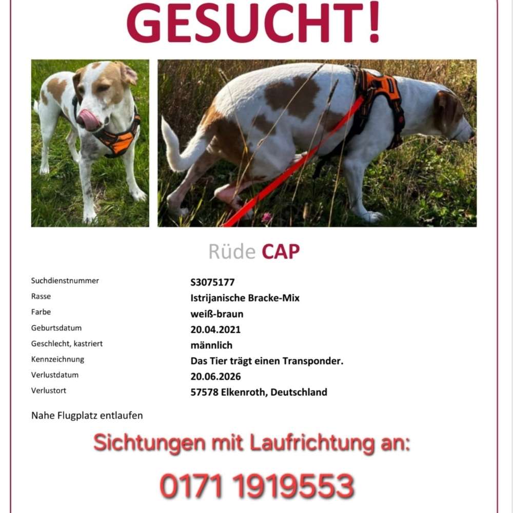 Suchmeldung-Cap-Profilbild
