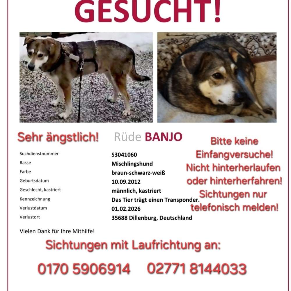 Suchmeldung-Banjo-Profilbild