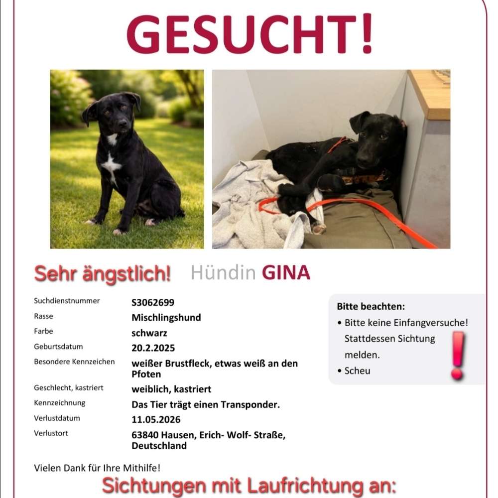 Suchmeldung-Gina-Profilbild