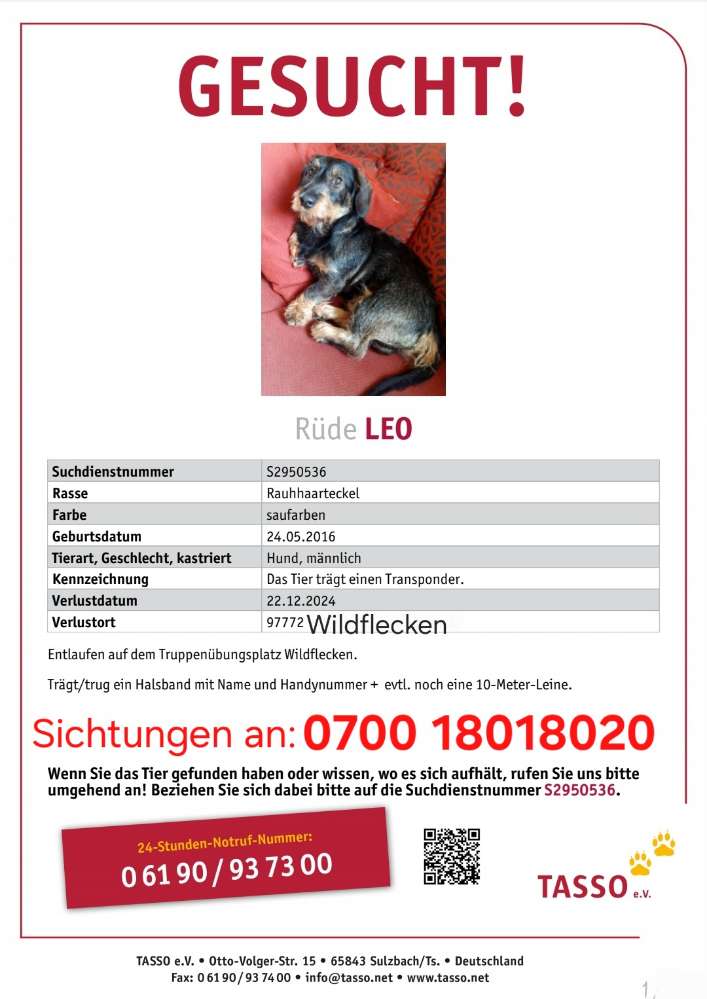 Suchmeldung-Leo-Profilbild