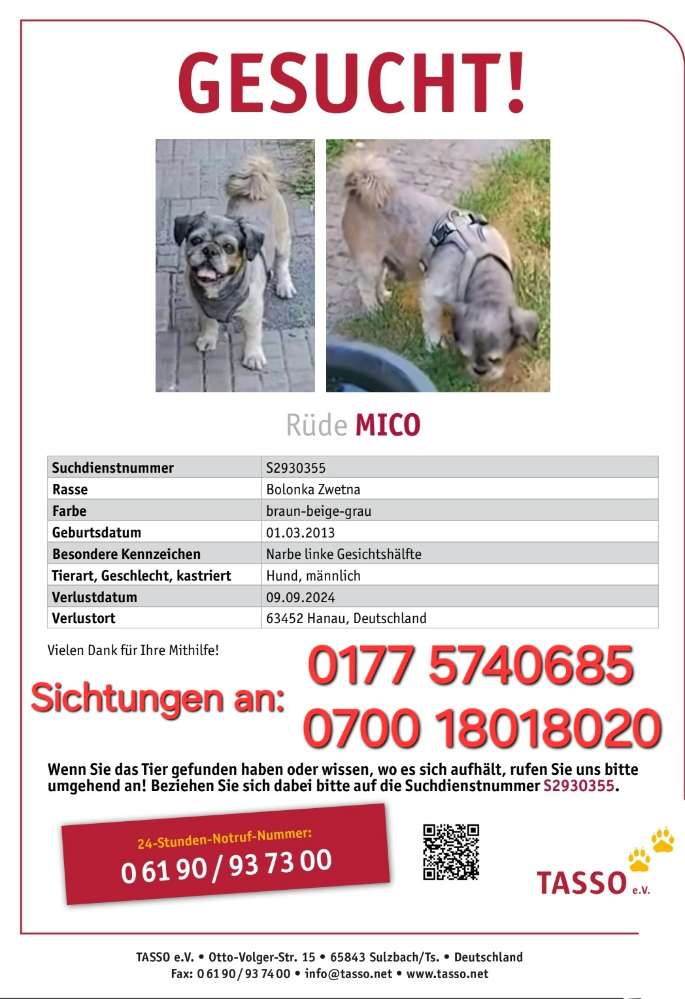 Suchmeldung-Mico-Profilbild