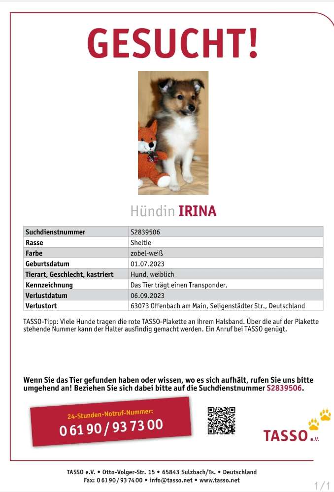 Suchmeldung-Irina-Profilbild