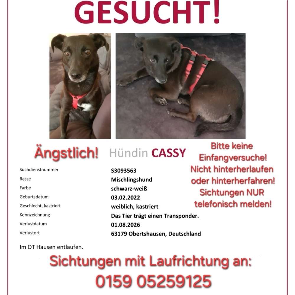 Suchmeldung-Cessy-Profilbild