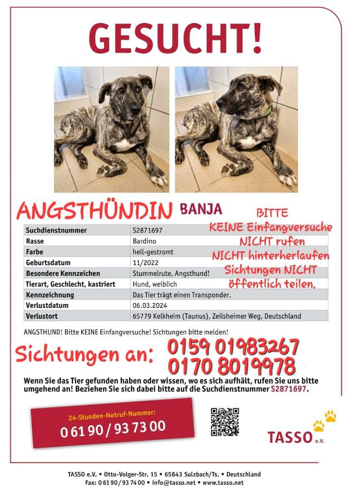 Suchmeldung-Banja-Profilbild