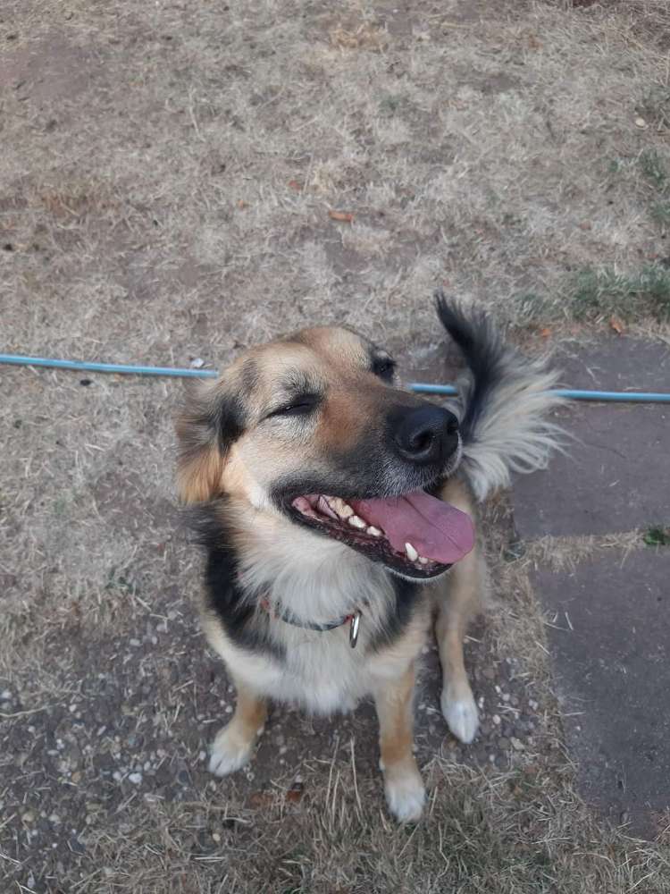 Suchmeldung-Lou-Profilbild