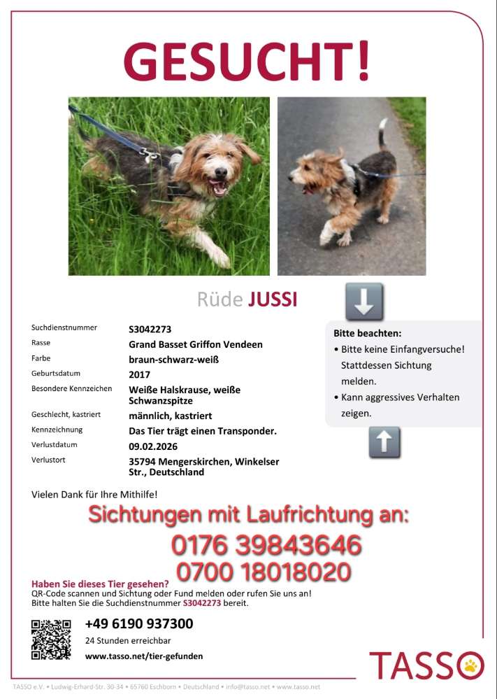 Suchmeldung-Jussi-Profilbild