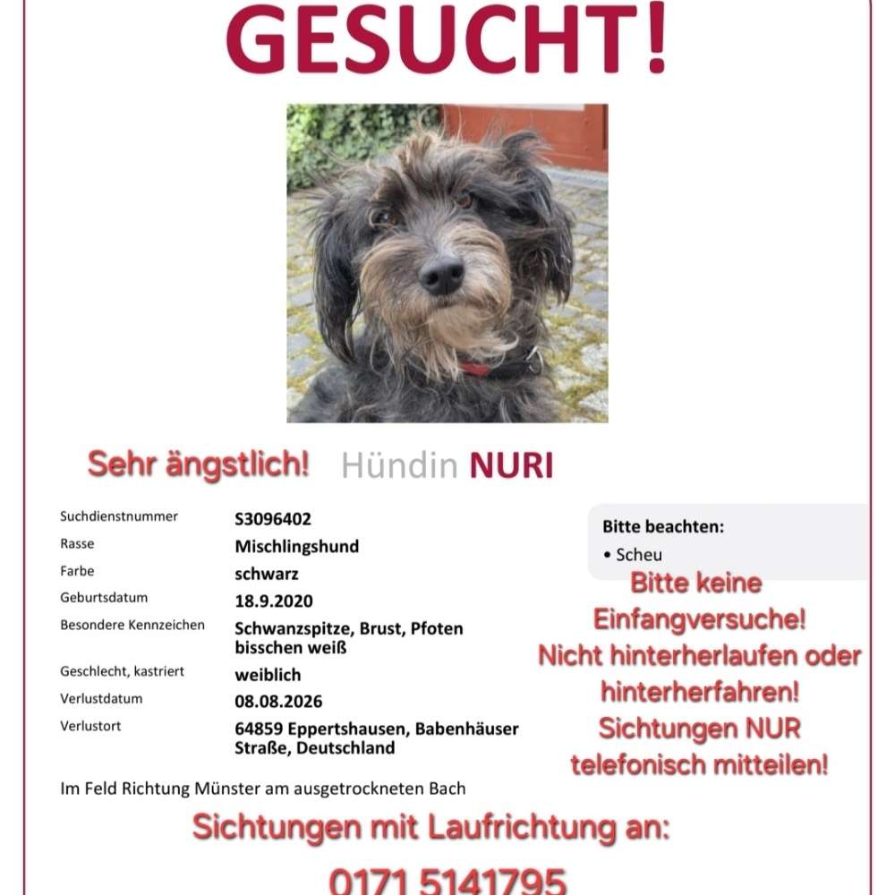 Suchmeldung-Nury-Profilbild