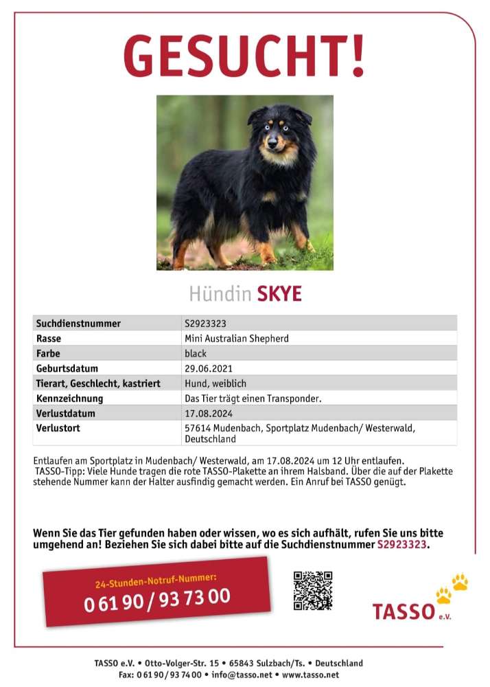 Suchmeldung-Skye-Profilbild