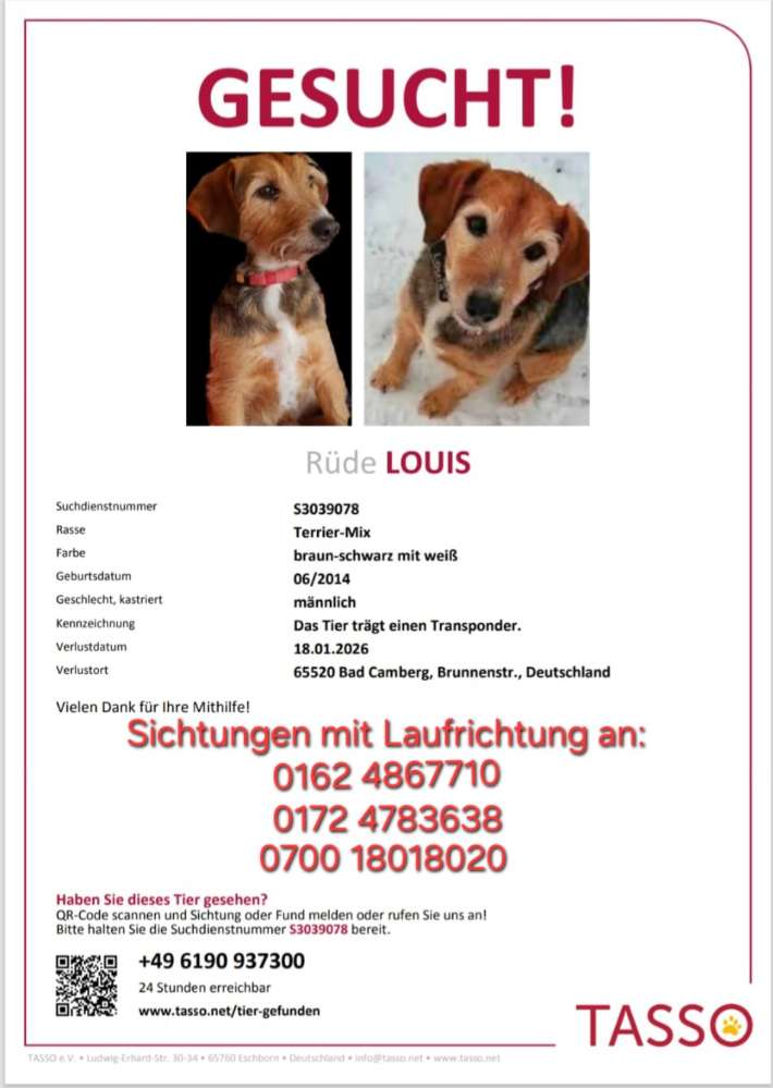 Suchmeldung-Louis-Profilbild