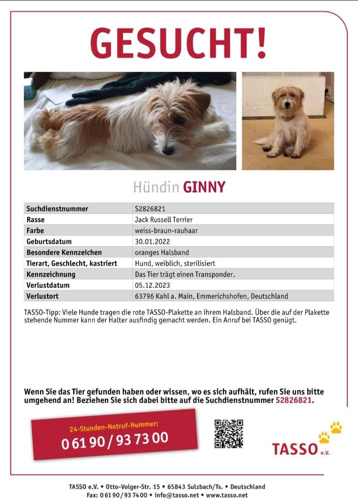 Suchmeldung-Ginny-Profilbild