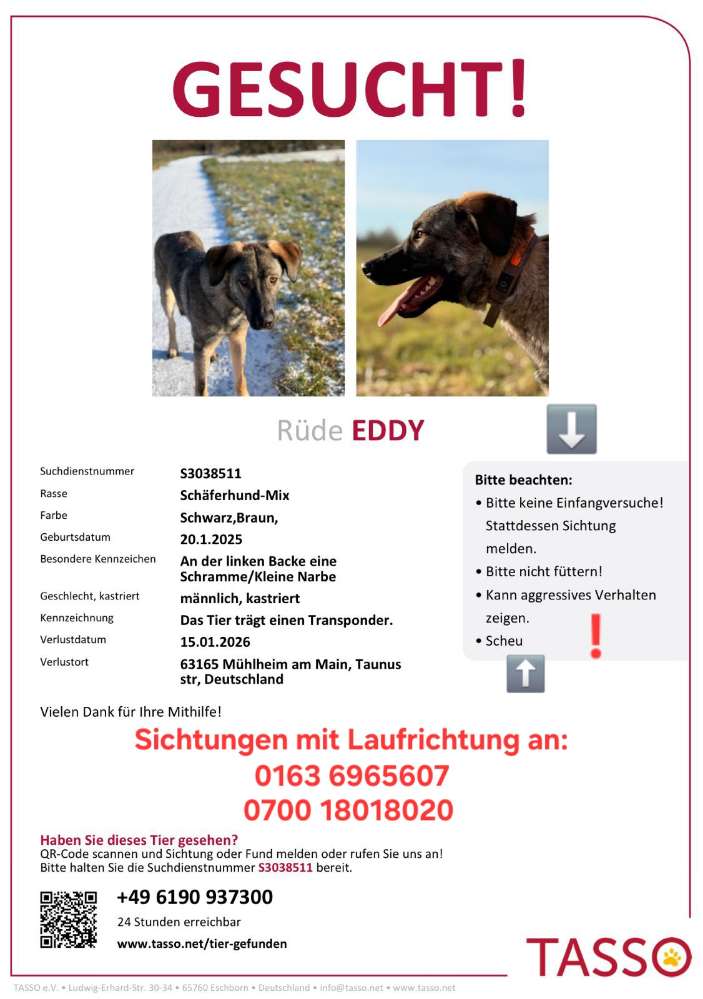 Suchmeldung-Eddy-Profilbild