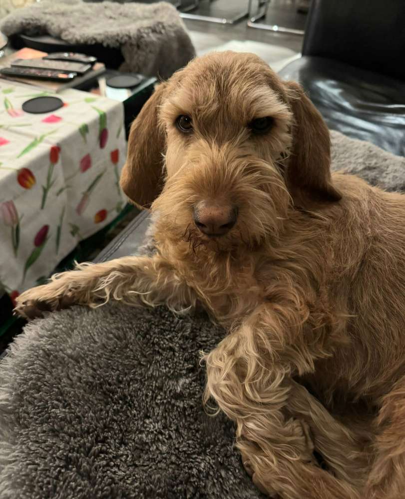 Suchmeldung-Paula-Profilbild