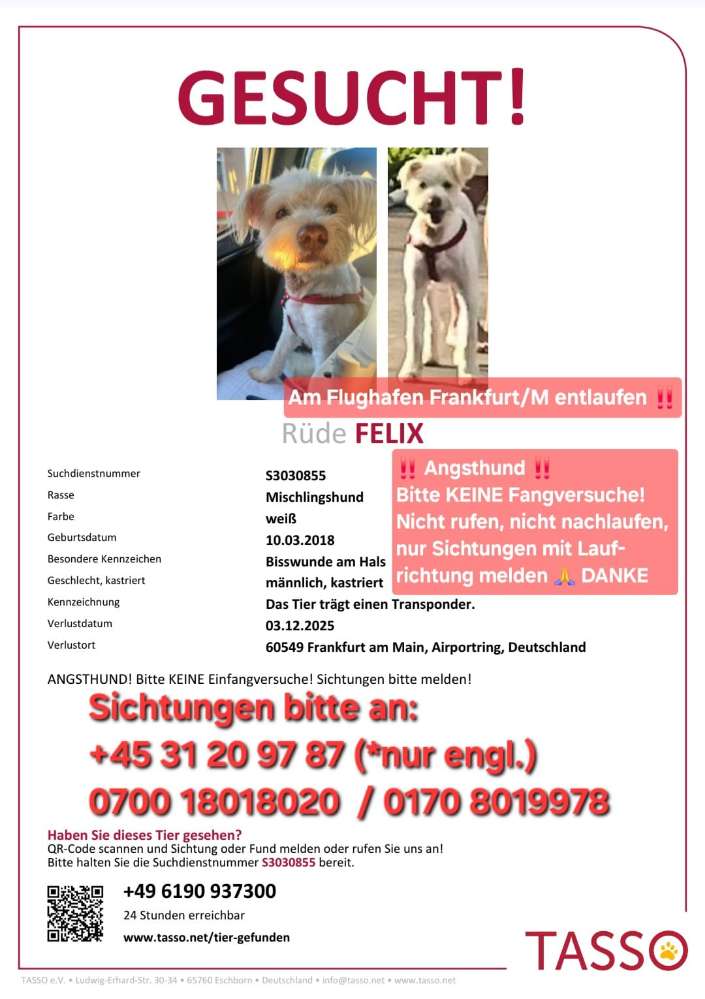 Suchmeldung-Felix-Profilbild
