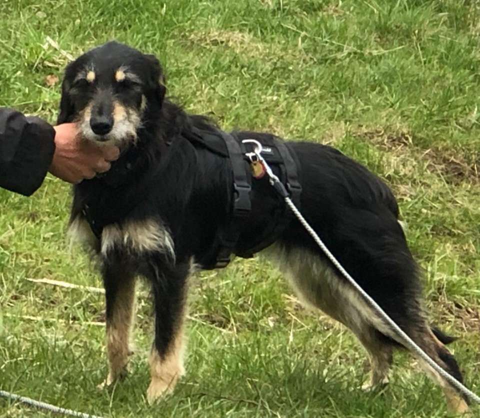 Suchmeldung-Gaia-Profilbild