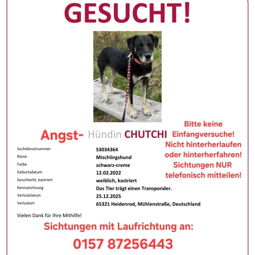 Suchmeldung-Chutchi-Profilbild