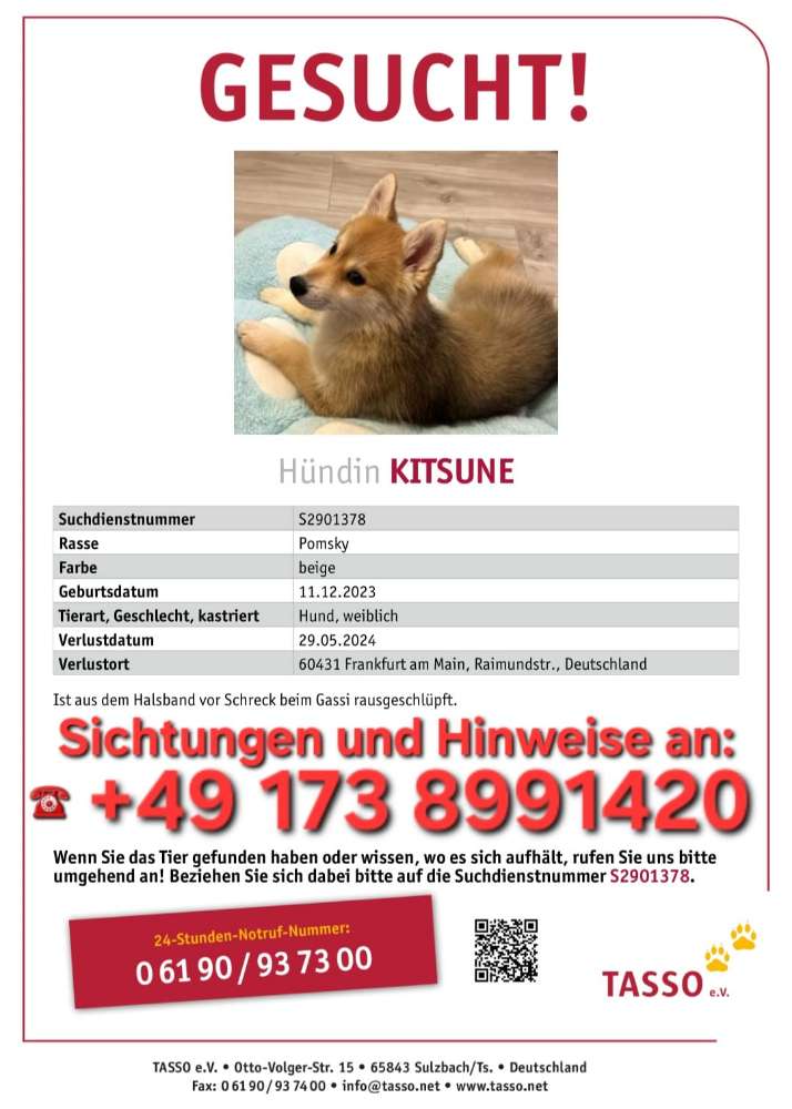 Suchmeldung-Kitsune-Profilbild