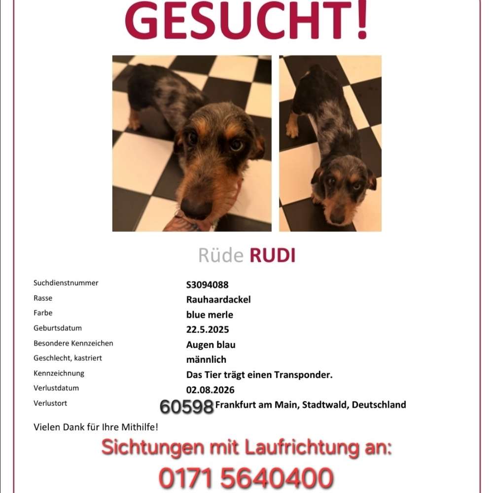 Suchmeldung-Rudi-Profilbild