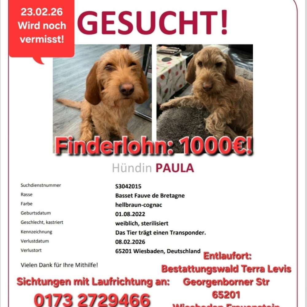 Suchmeldung-Paula-Profilbild