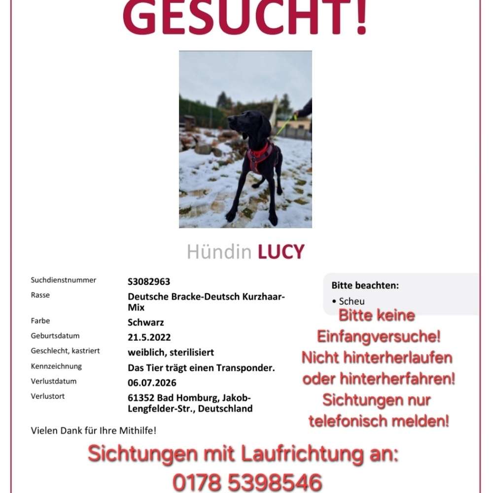Suchmeldung-Lucy-Profilbild