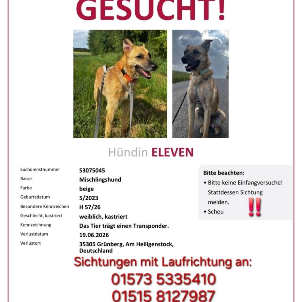 Suchmeldung-Eleven-Profilbild