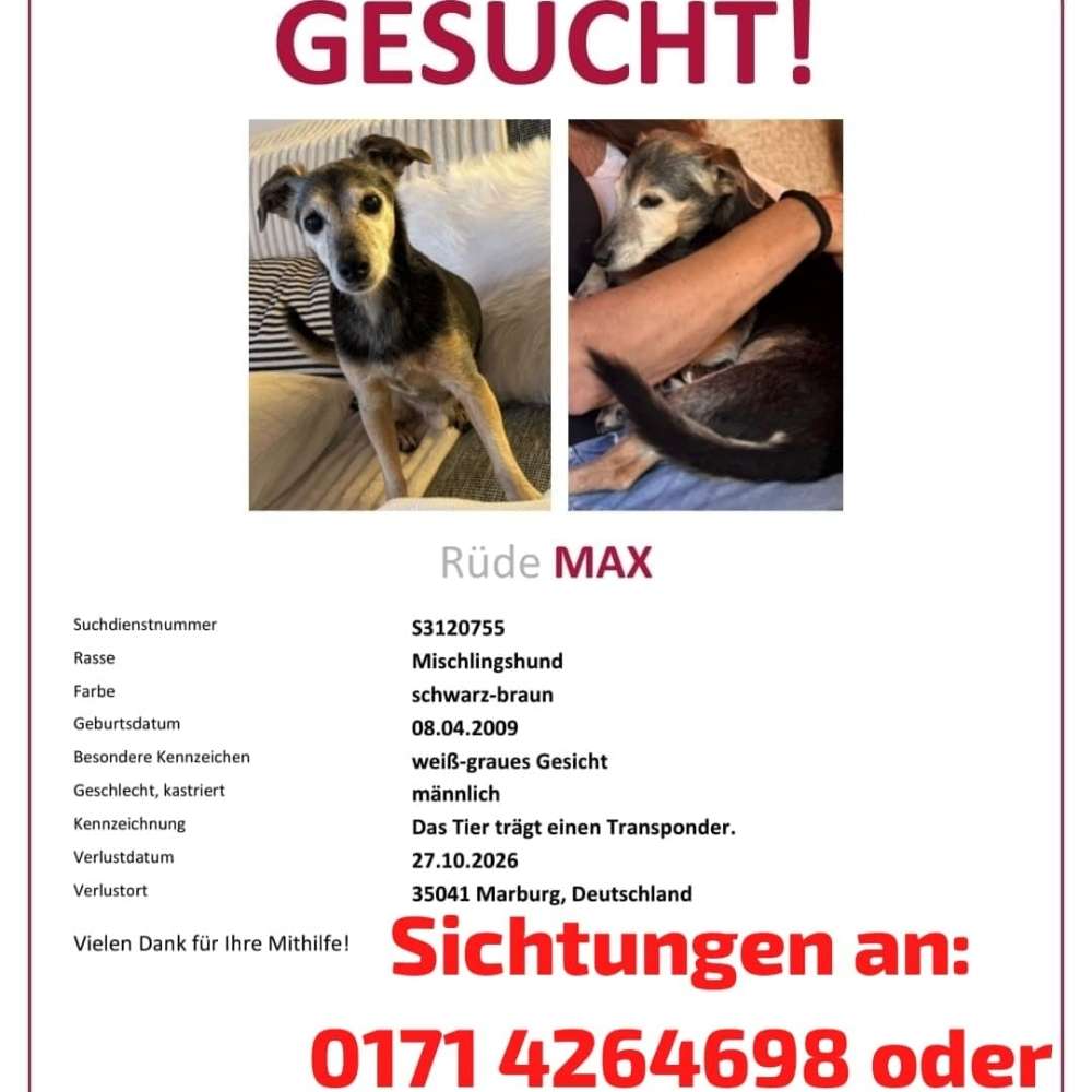 Suchmeldung-Max-Profilbild