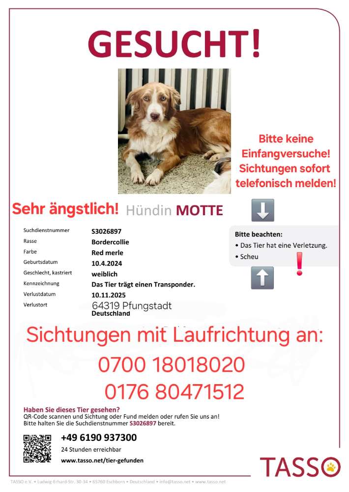 Suchmeldung-Motte-Profilbild
